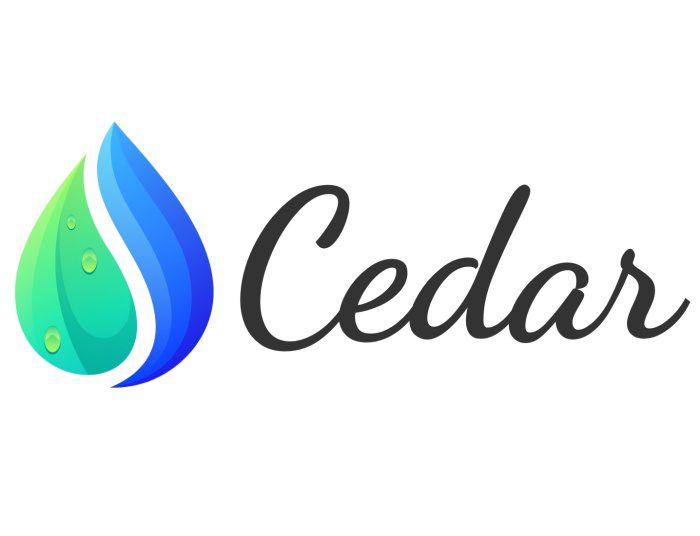 printed paper napkins